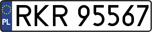 RKR95567