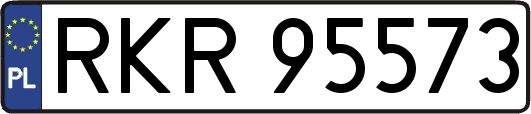 RKR95573