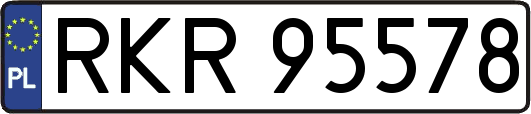 RKR95578