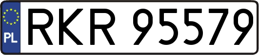 RKR95579