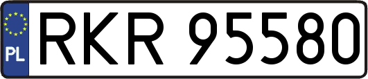 RKR95580