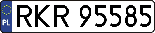 RKR95585