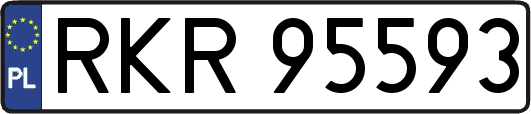RKR95593