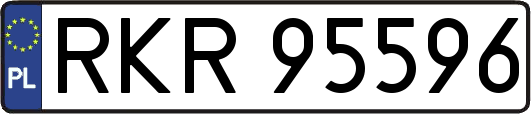 RKR95596