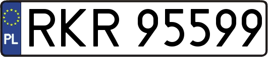 RKR95599