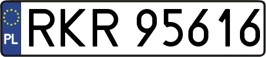RKR95616