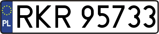 RKR95733