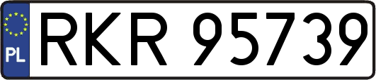RKR95739