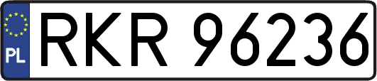 RKR96236