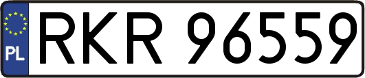 RKR96559