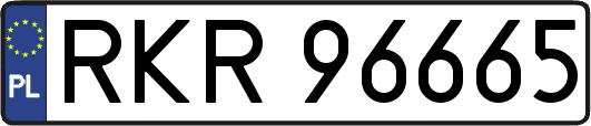 RKR96665