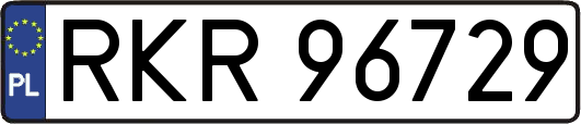 RKR96729
