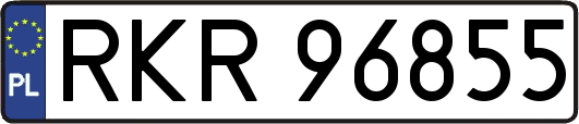 RKR96855