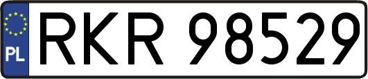RKR98529
