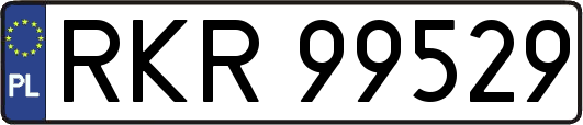 RKR99529