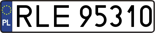 RLE95310