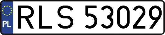 RLS53029