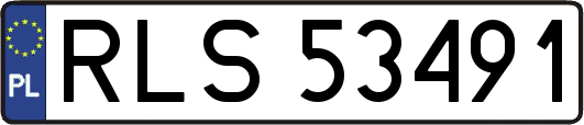 RLS53491