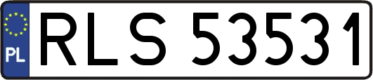 RLS53531