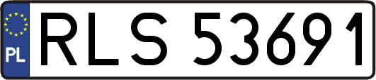 RLS53691