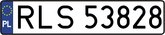 RLS53828