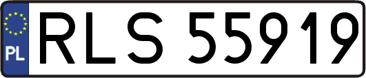 RLS55919