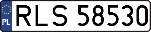 RLS58530