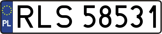 RLS58531