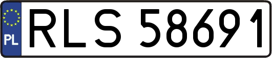 RLS58691