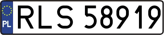 RLS58919