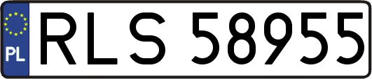 RLS58955