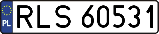 RLS60531