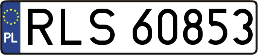 RLS60853