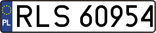 RLS60954