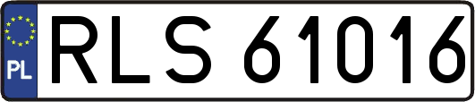 RLS61016