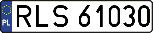 RLS61030