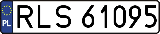 RLS61095
