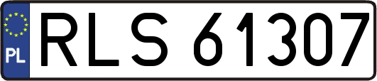 RLS61307