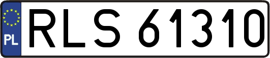 RLS61310