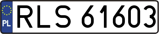 RLS61603