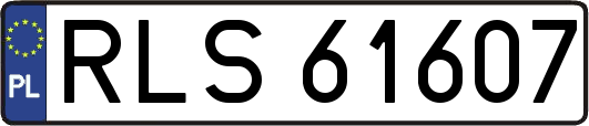 RLS61607