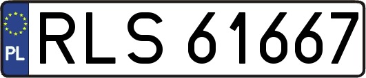 RLS61667