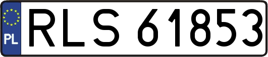 RLS61853