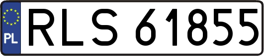 RLS61855