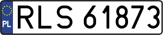 RLS61873