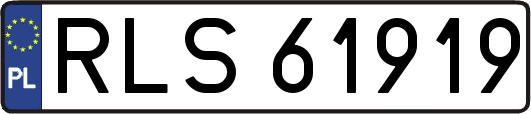 RLS61919