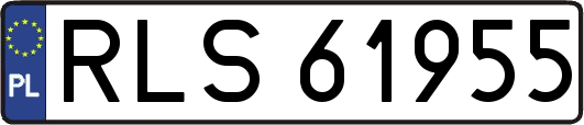 RLS61955