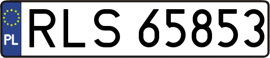 RLS65853