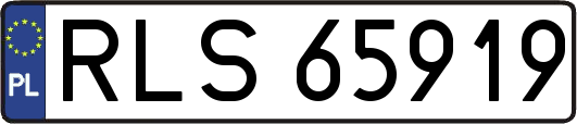 RLS65919
