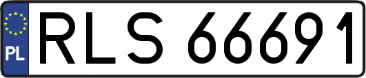 RLS66691